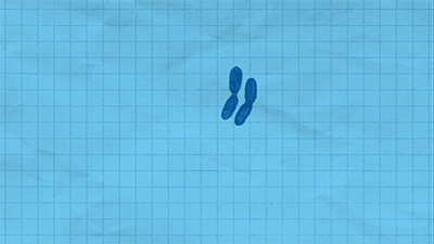 3YPL.gif