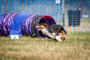 EDE9FF49-4878-49DA-809E-D5D5B34832F5.jpeg