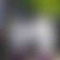 Kota Bahru school girls