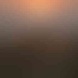 Sunset from Shwesandaw Paya, Bagan