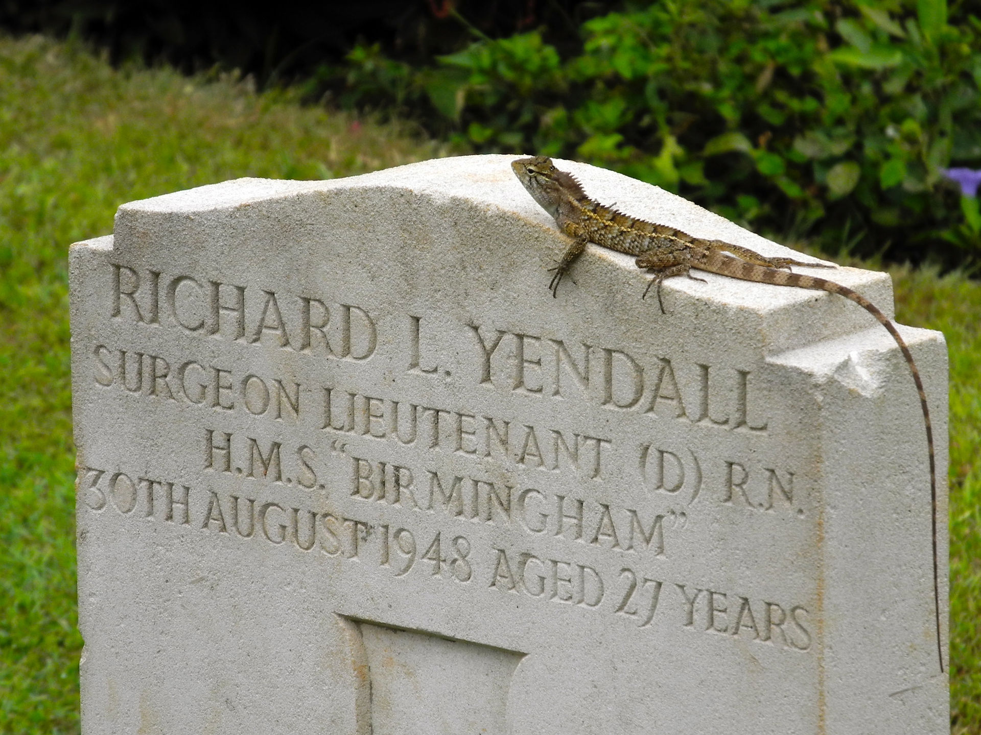 Trincomallee British War Graves