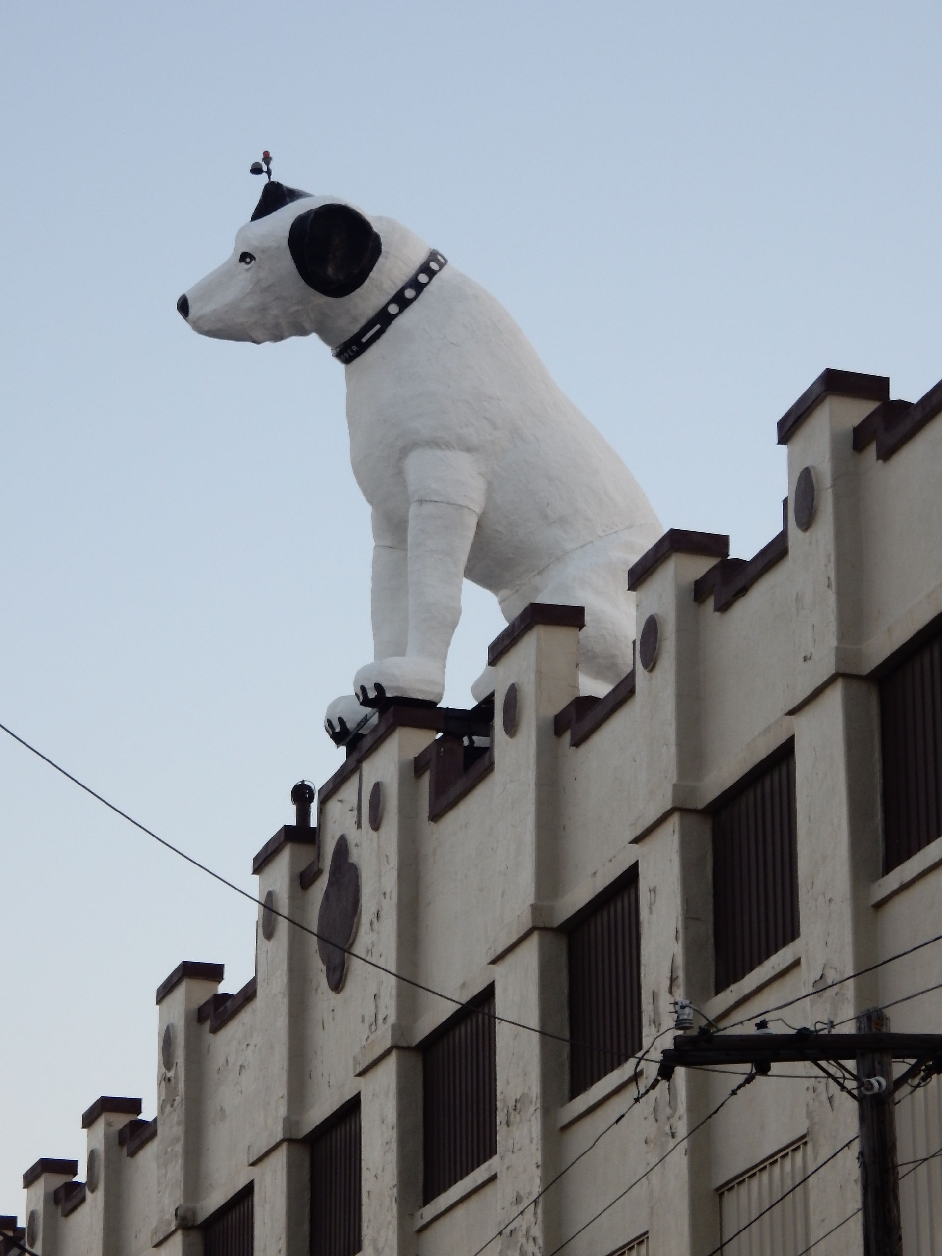 "Nipper"