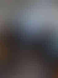 ICE First Class to Dresden