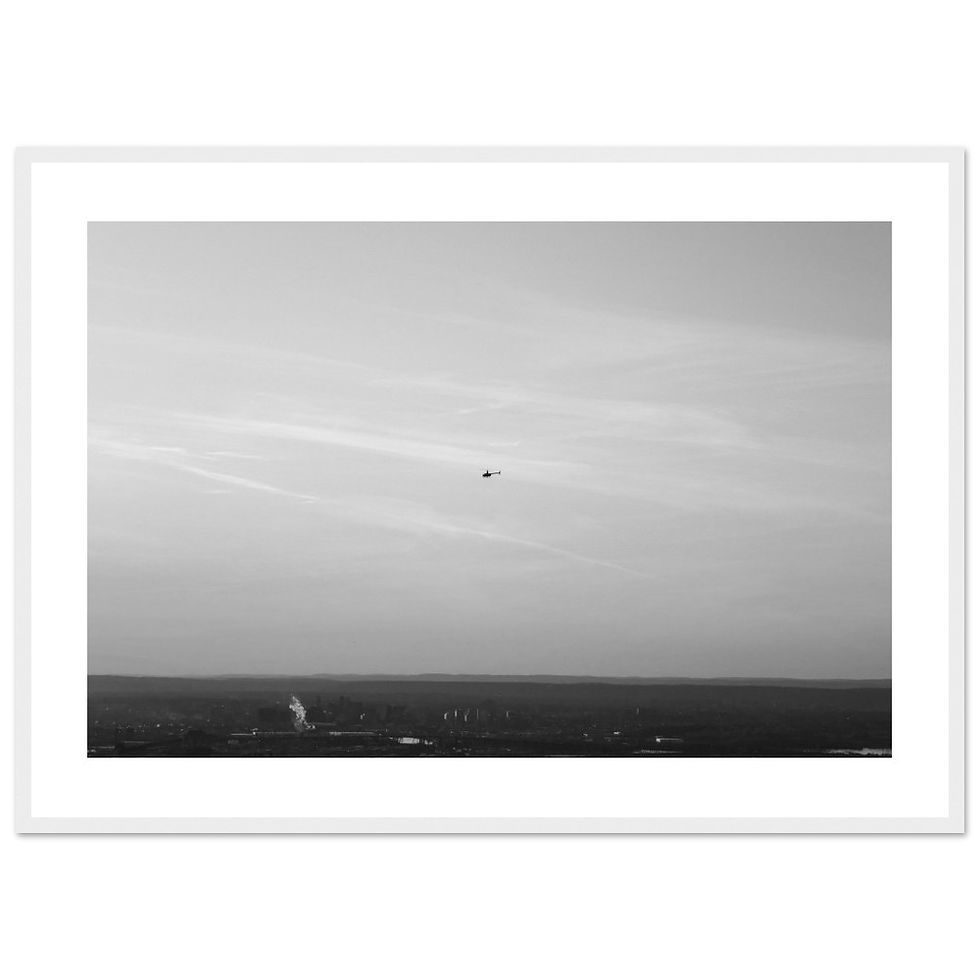 Thumbnail: Flying High - (Black + White)