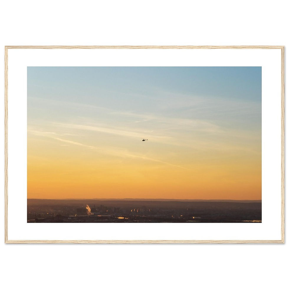 Thumbnail: Flying High - (Colour)