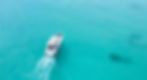 Thumbnail: Private Yacht Charter / Boat Rental - '29 FT - Catamaran - Deposit Only