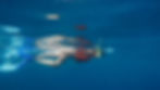 Thumbnail: Snorkel Tour - Shared Trip