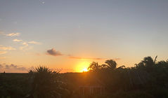 IMG_2198.jpeg