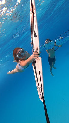 Private Wing Diving