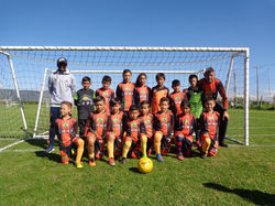 ARRAYANES