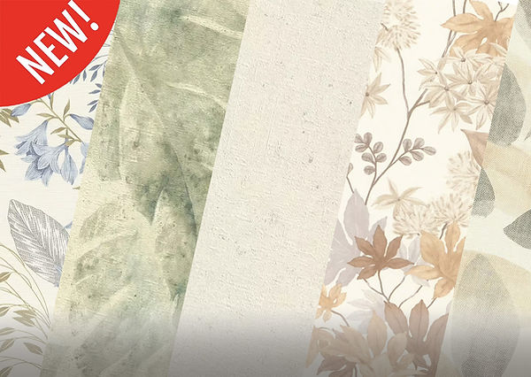 portada BELTESTO.jpg