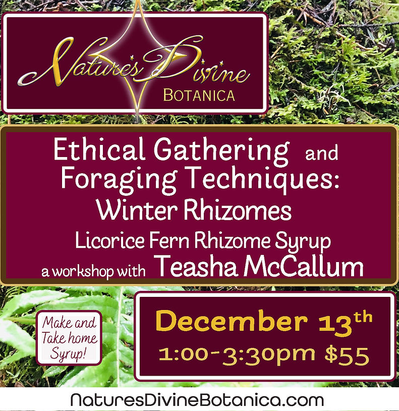 Winter Rhizomes Winter 2026.jpg