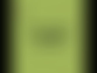 The ABCs of DHS (What Are the Immigration Agencies Within DHS)