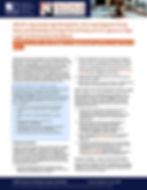 Page 1 of Tagalog flyer on rights of a permanent resident at a U.S. port of entry.