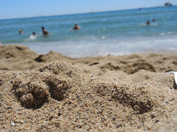 beach