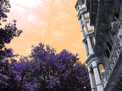 purple and orange photoshop