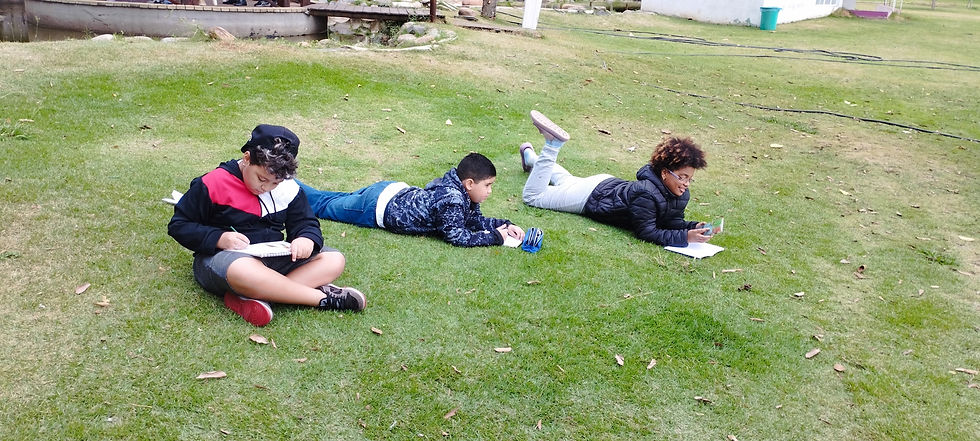 2° Encontro do Casulo Ilustrado!