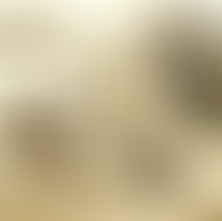 Movimento, Arte e Vida