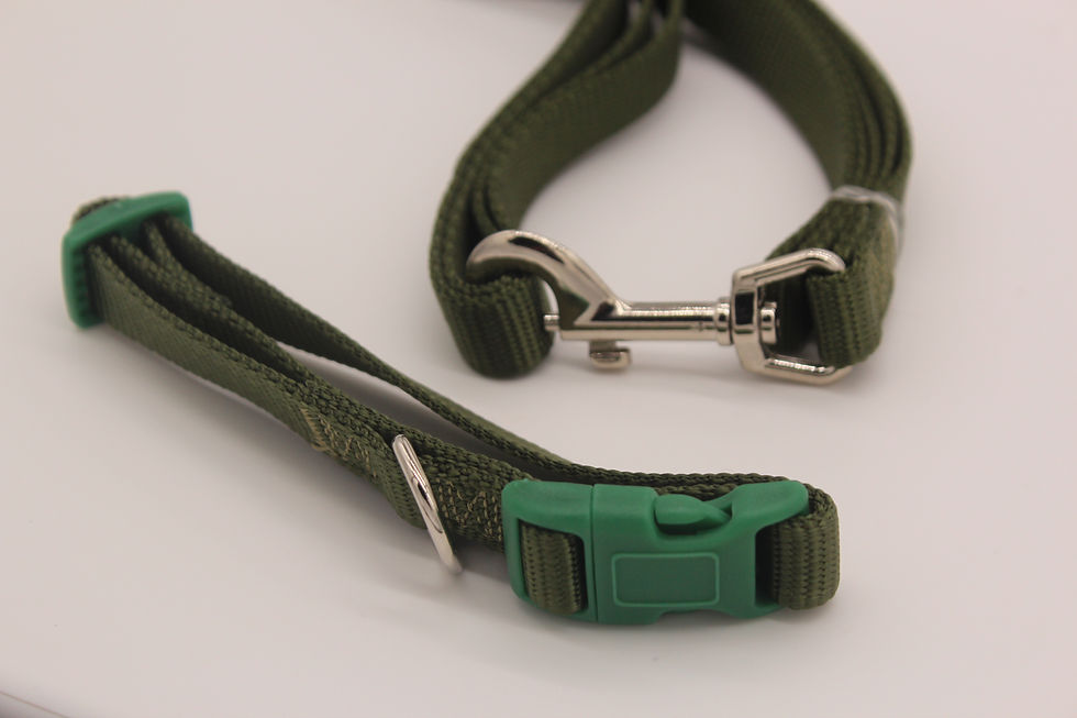 Thumbnail: Casual Canine Nylon Collar & Leash Sets
