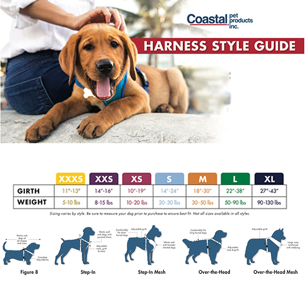 Thumbnail: Comfort Soft Adjustable Dog Harness