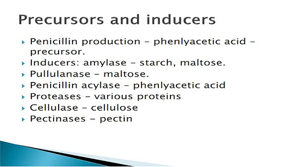 Slide29.JPG