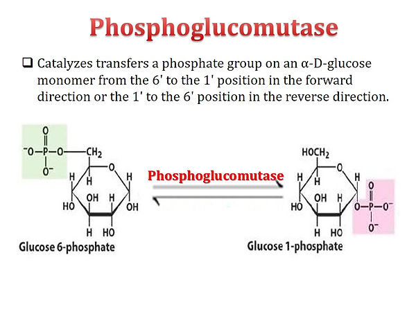 Slide18.JPG