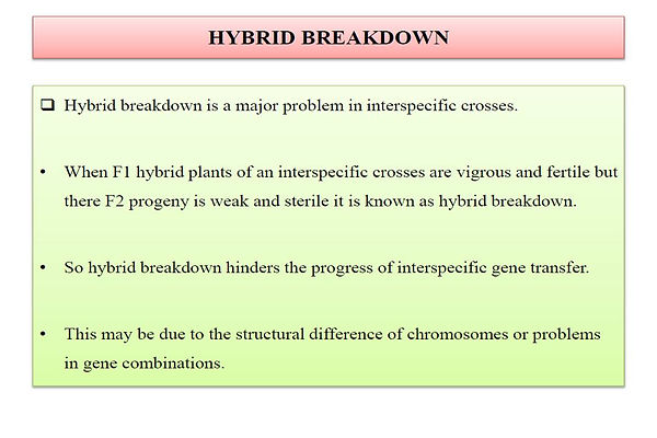 Slide95.JPG