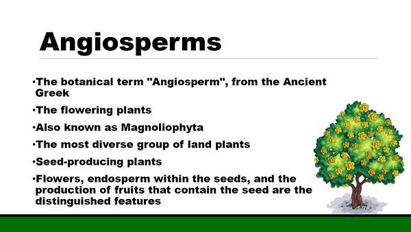 Slide38.JPG