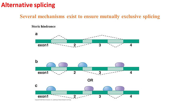 Slide41.JPG