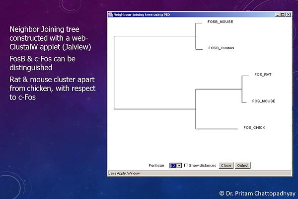 Slide13.JPG