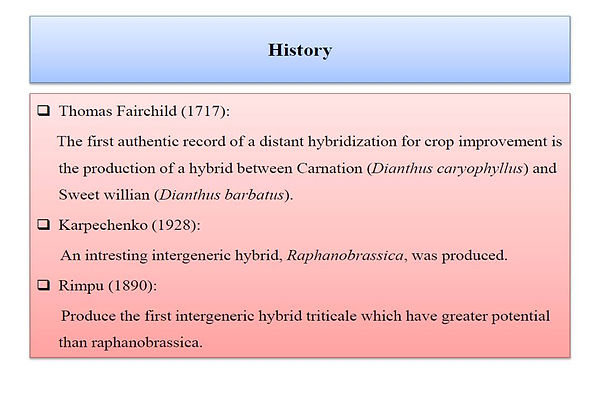 Slide81.JPG