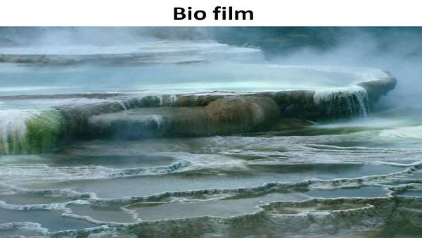 Slide80.JPG