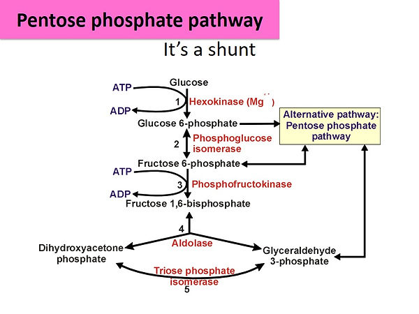 Slide45.JPG