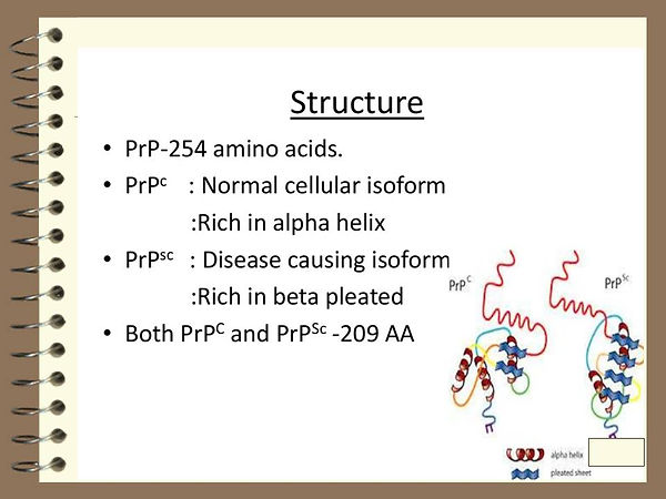 Slide78.JPG