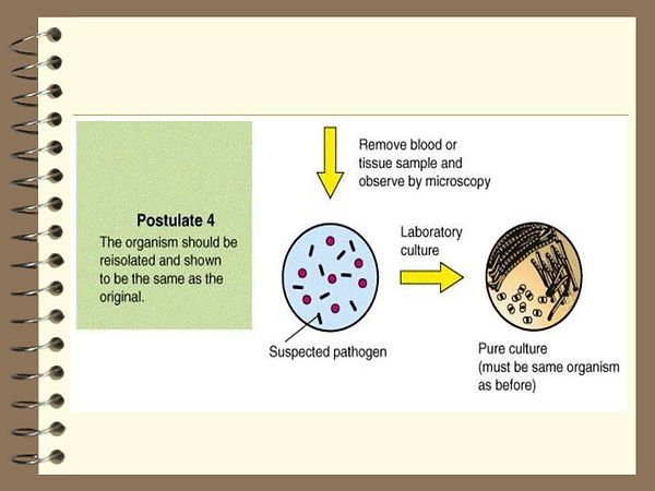 Slide21.JPG