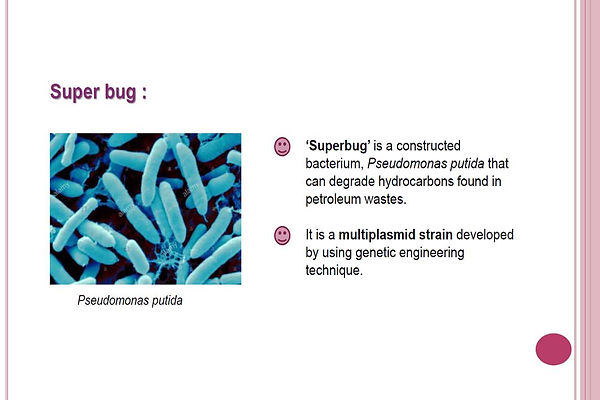 Slide119.JPG