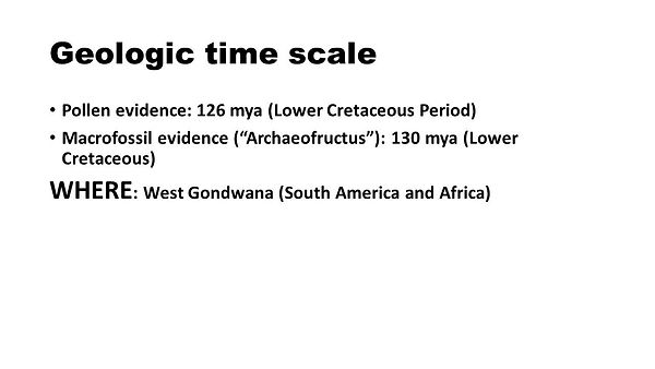 Slide42.JPG