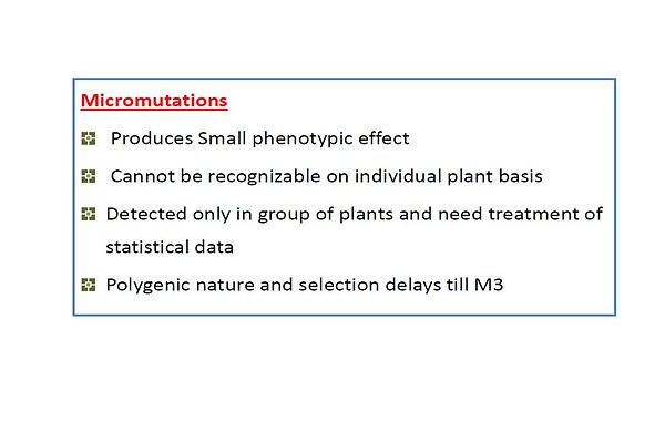 Slide8.JPG