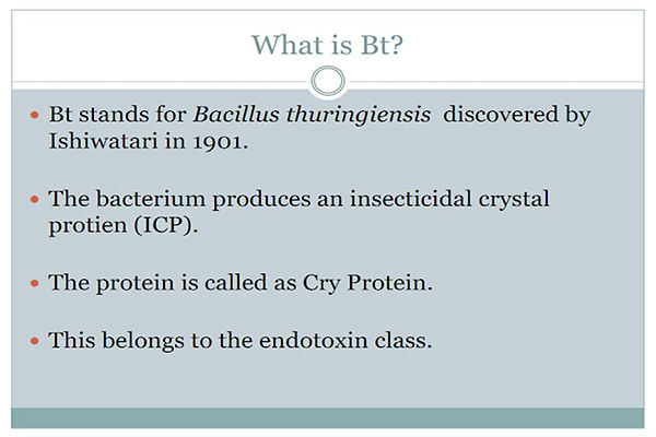 Slide3.JPG