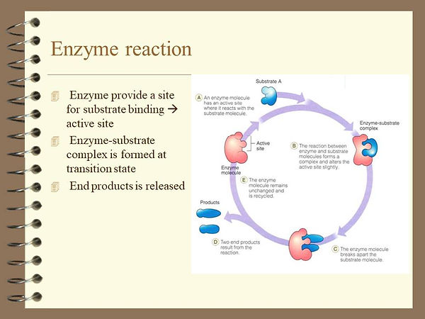 Slide36.JPG