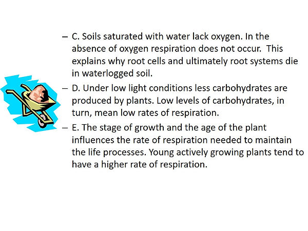 Slide50.JPG