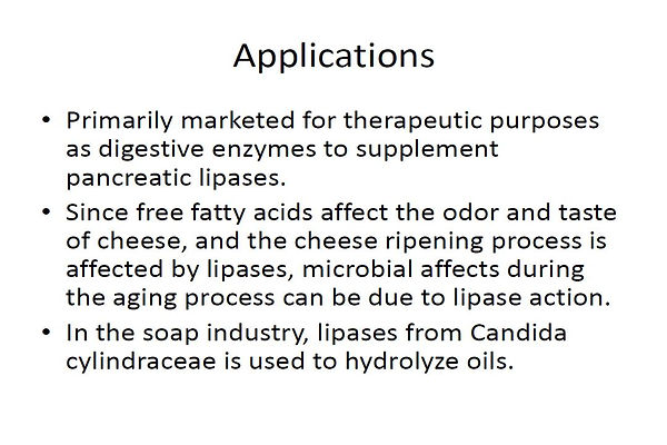 Slide195.JPG