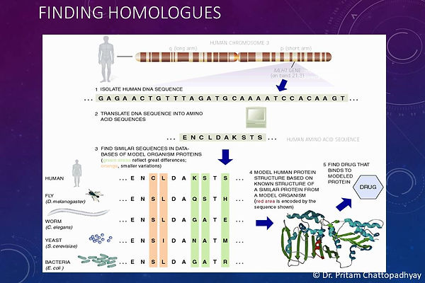 Slide68.JPG
