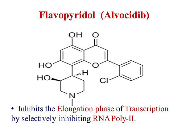 Slide50.JPG