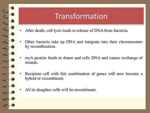 Slide202.JPG