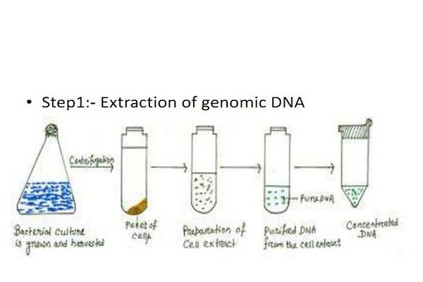 Slide72.JPG