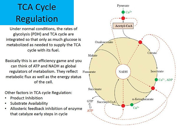 Slide12.JPG