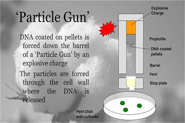 Slide23.JPG