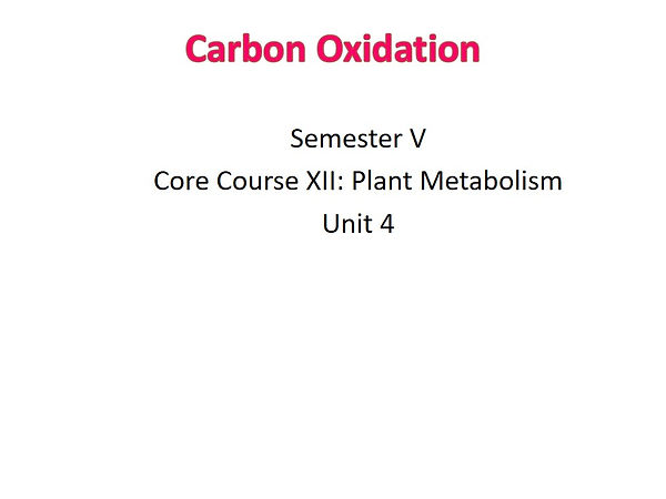 Slide1.JPG