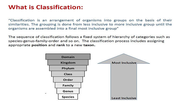 Slide2.JPG